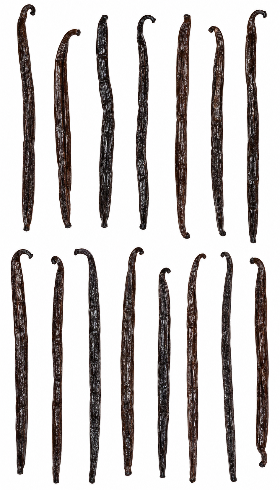 Vanilla Beans