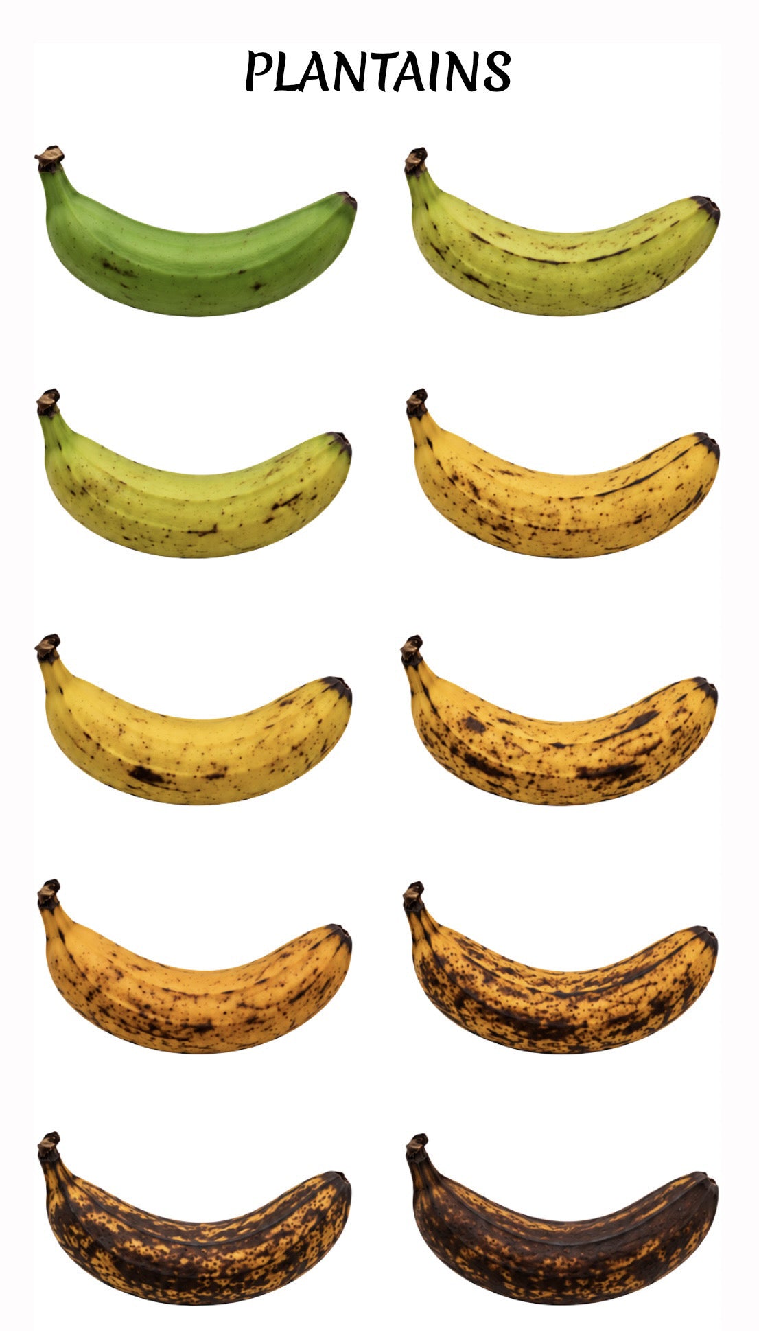 Plantains