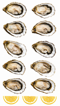 Oysters