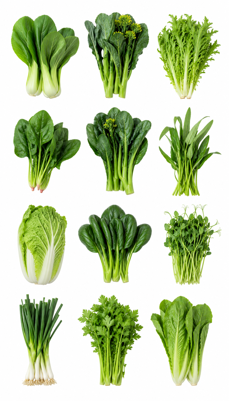 Asian Greens