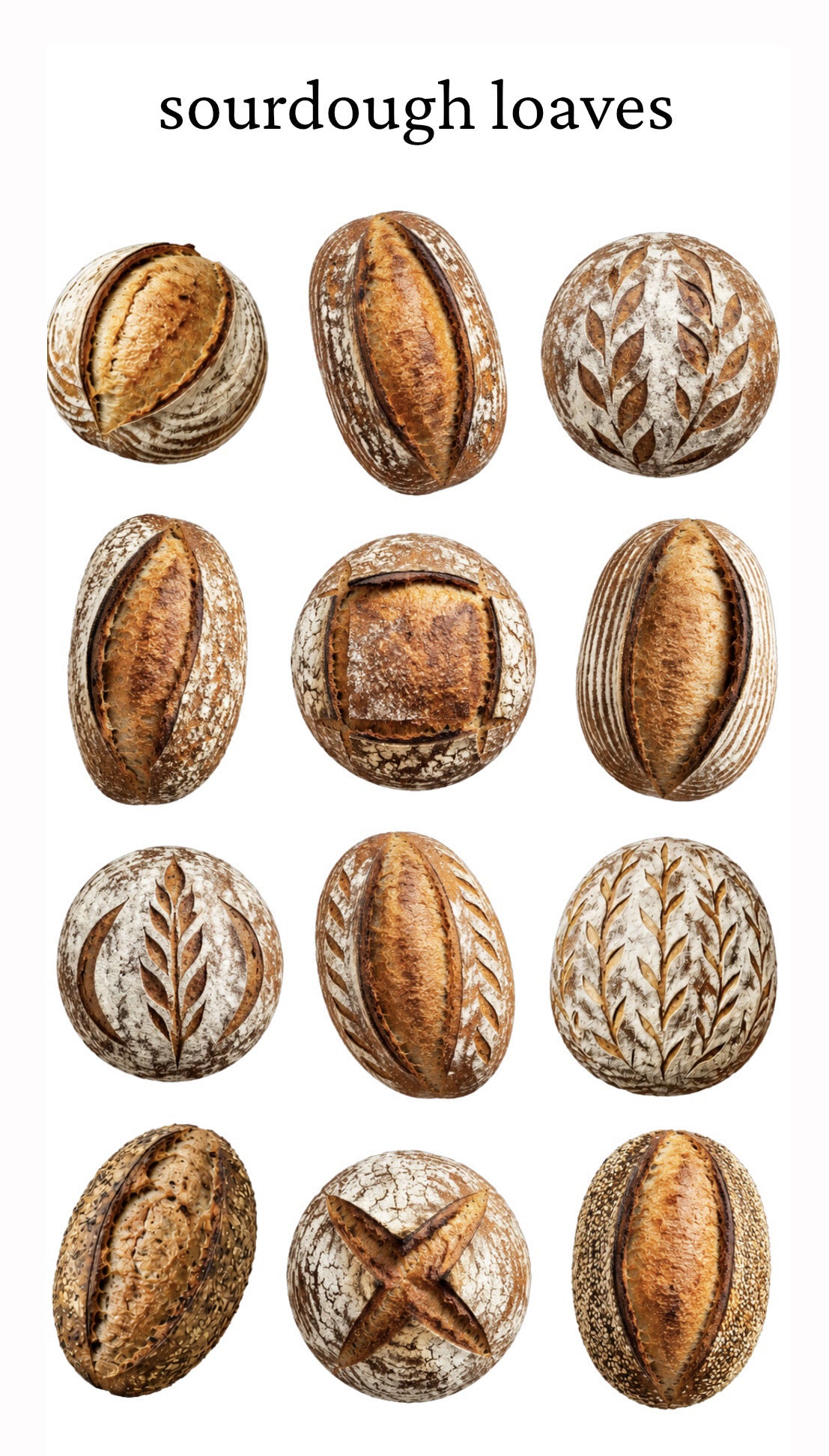 Sourdough Loaves