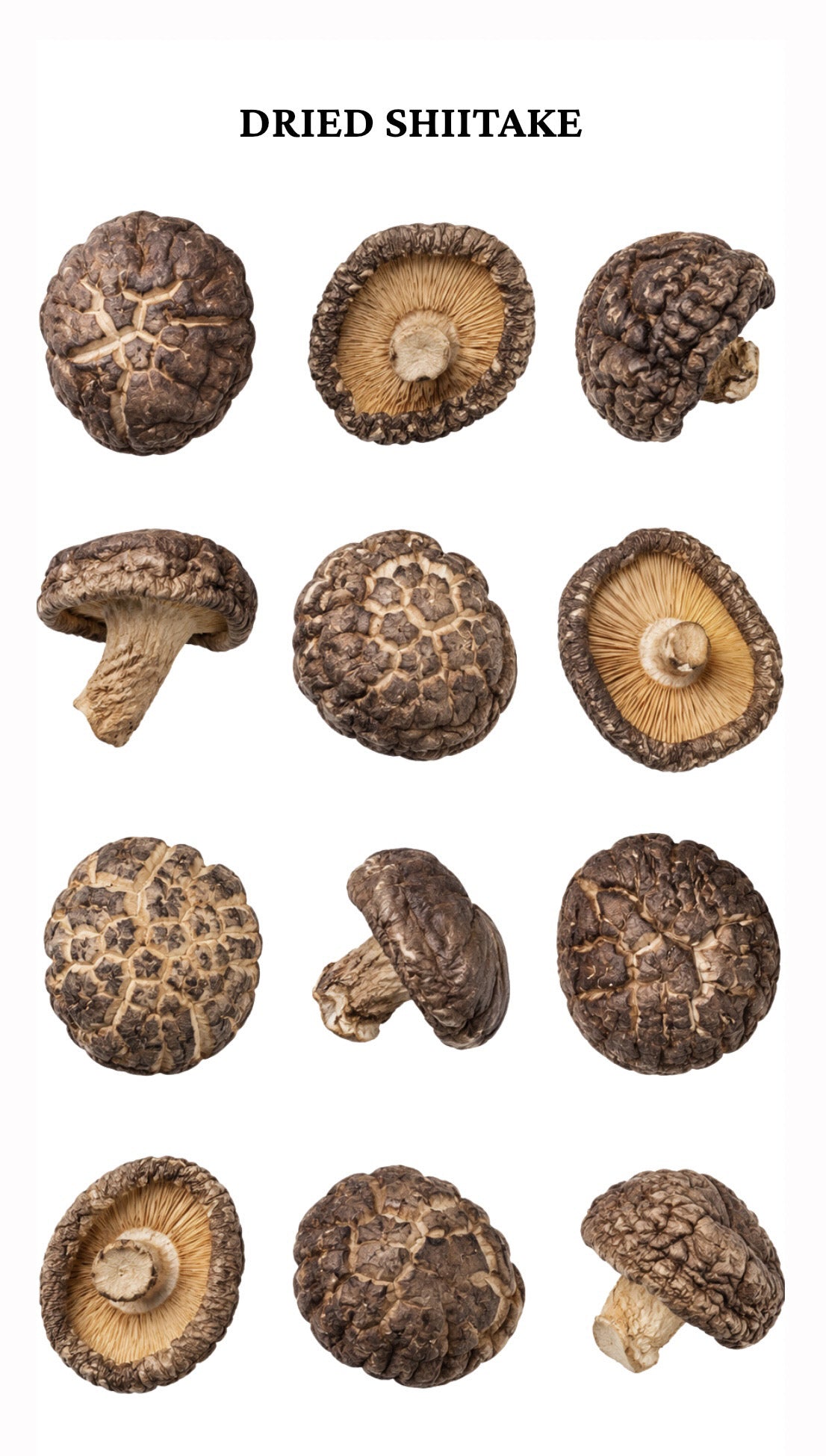 Dried Shiitake